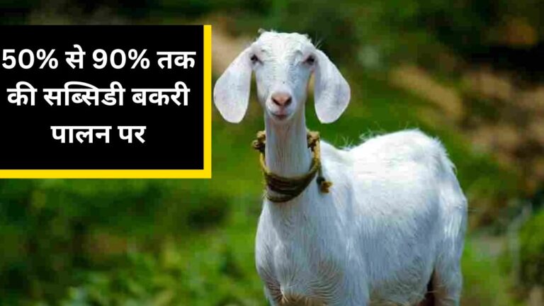 Bakri Palan Yojana